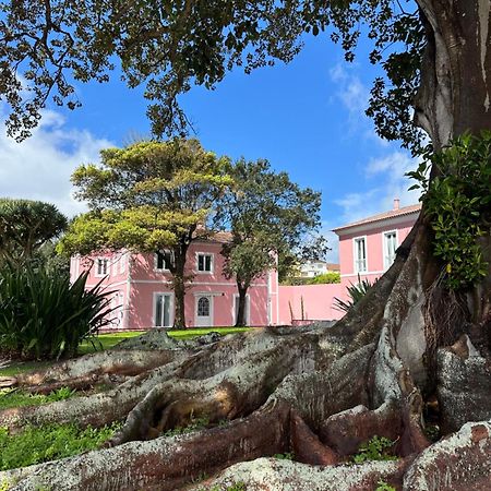 Solar Dos Cantos Botanic House & Garden ポンタ・デルガダ エクステリア 写真