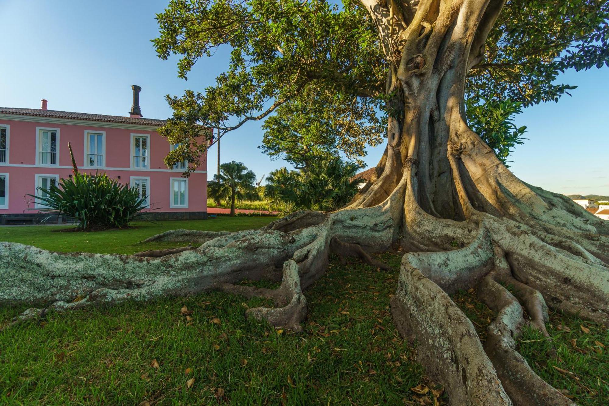 Solar Dos Cantos Botanic House & Garden ポンタ・デルガダ エクステリア 写真