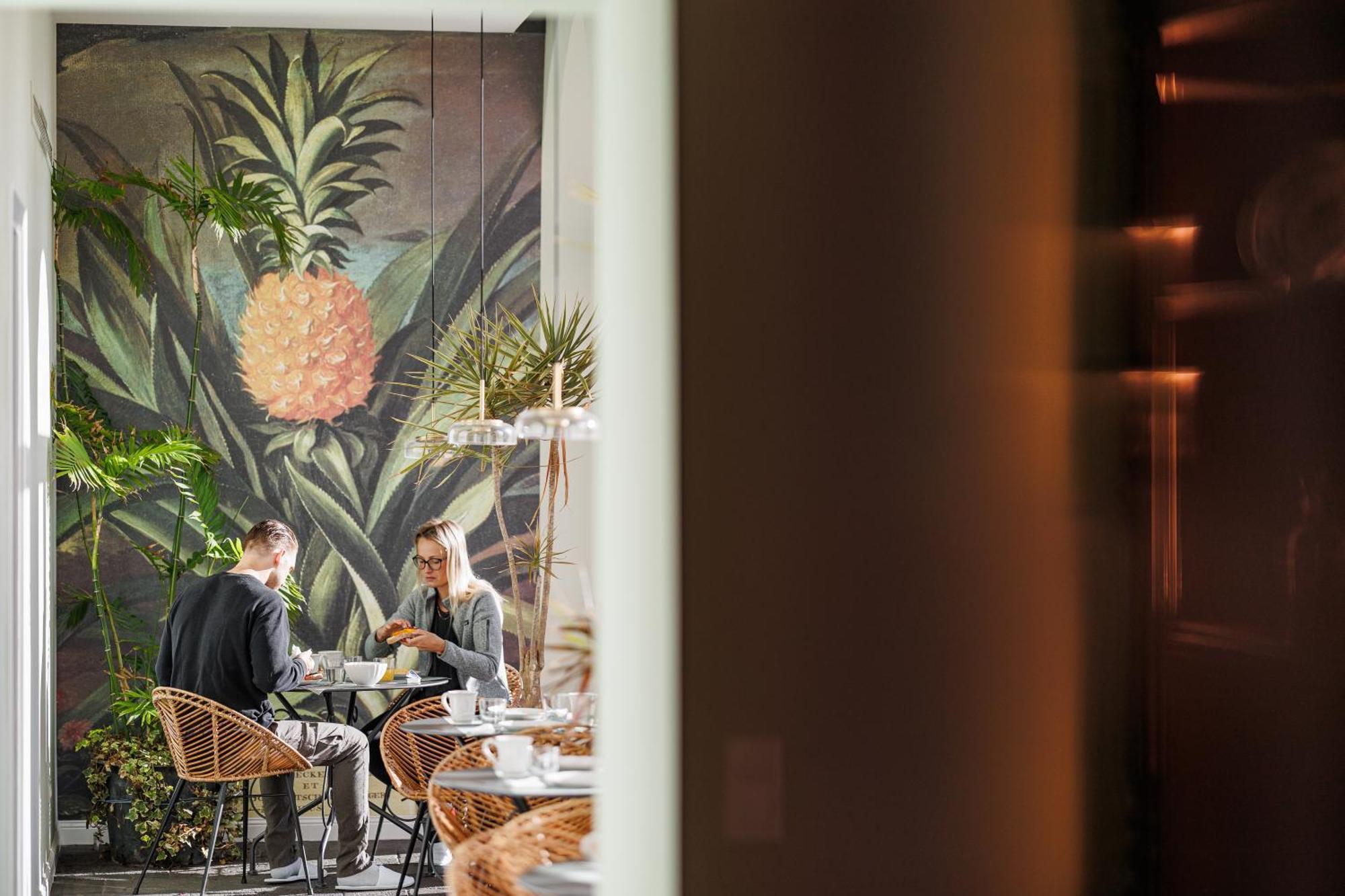 Solar Dos Cantos Botanic House & Garden ポンタ・デルガダ エクステリア 写真