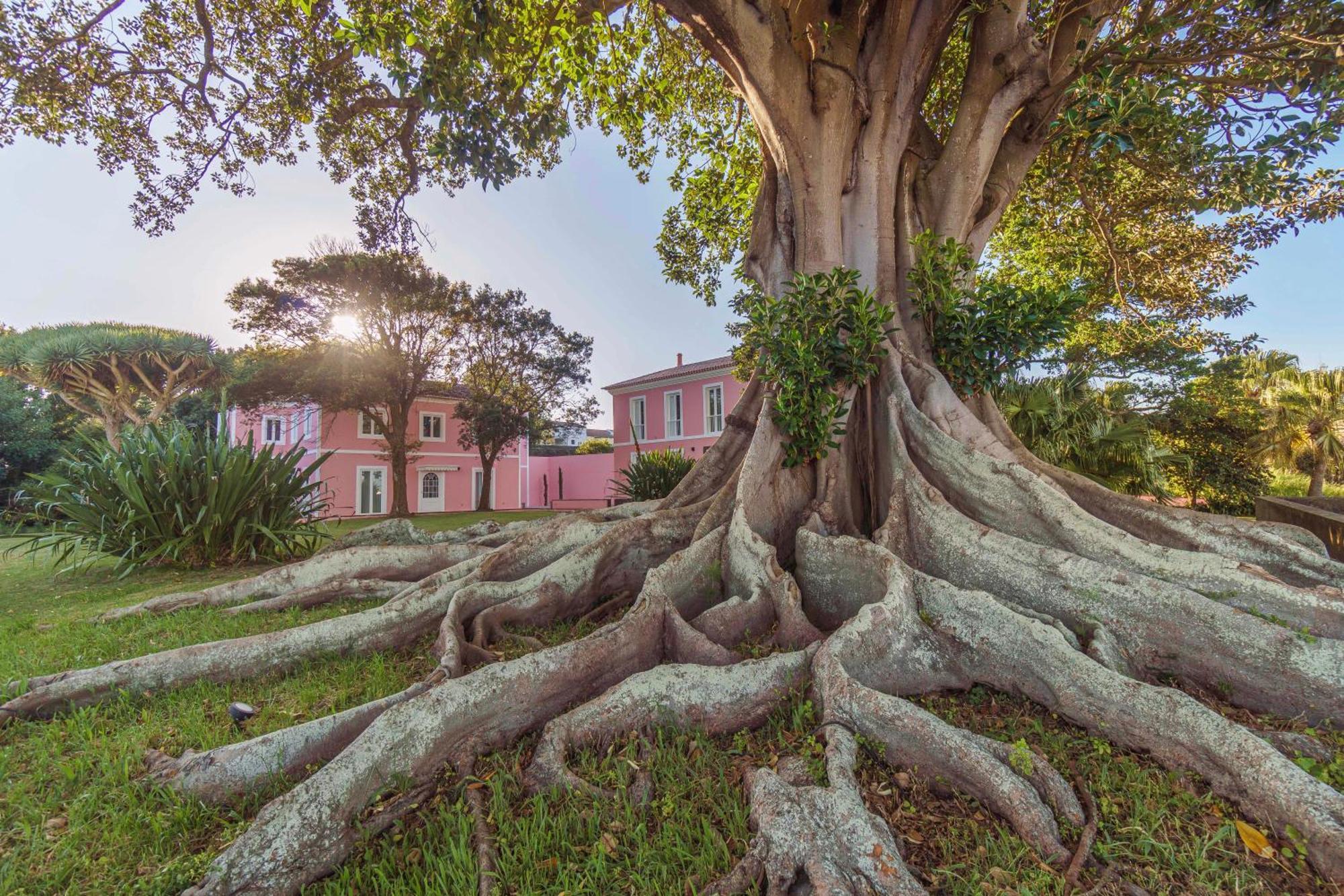 Solar Dos Cantos Botanic House & Garden ポンタ・デルガダ エクステリア 写真